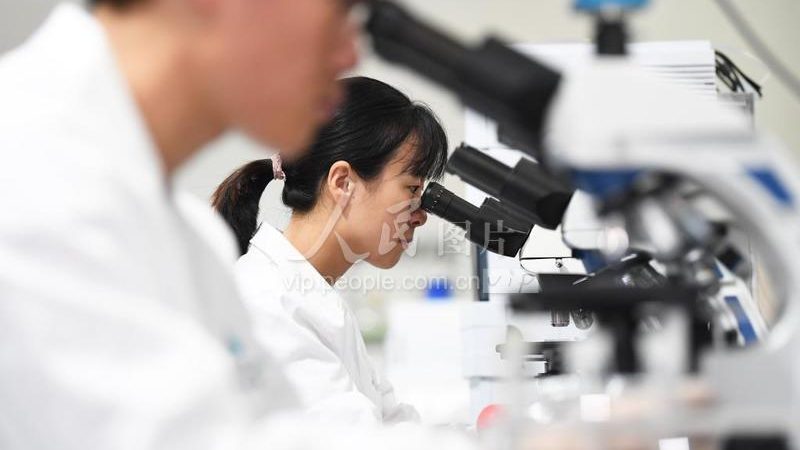 生物药企的CRO困局：本地化服务才是解药