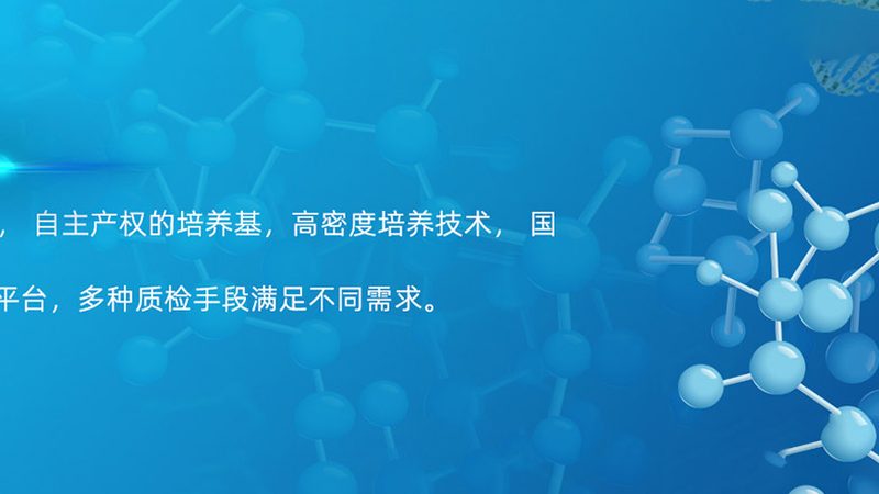 CDMO与CMO：合同差异解析，助您明智选择