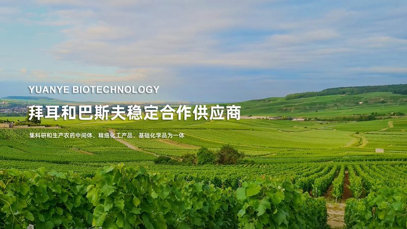 DNA提取试剂盒：揭秘其背后的技术奥秘与应用场景