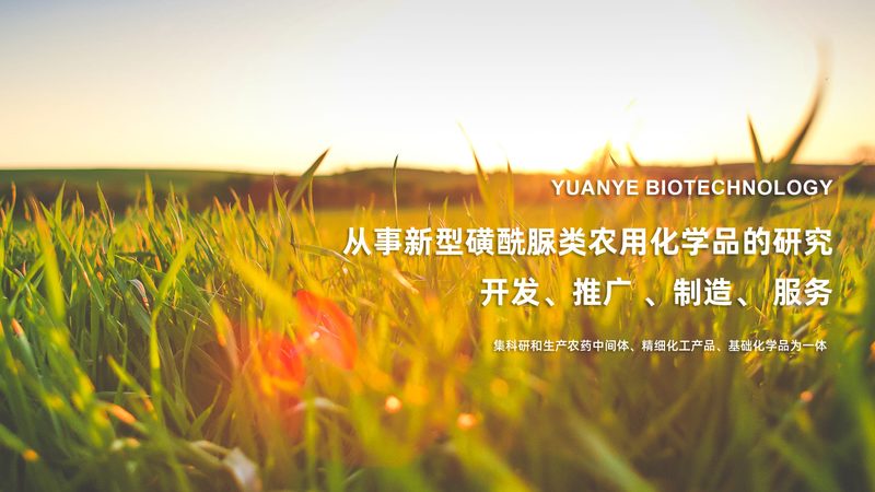 医药研发，如何挑选靠谱的生物科技公司？**