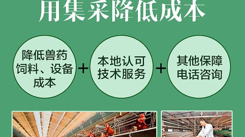 引物合成的关键步骤：定制流程解析**